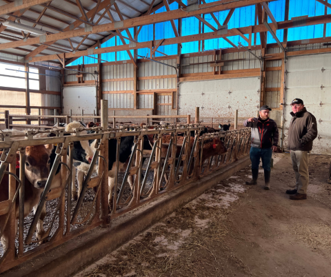 Parson’s Dairy Farm