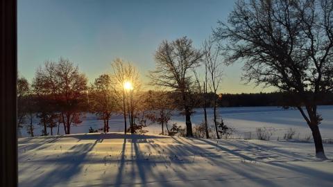 Photo of the Week: Jan 13th