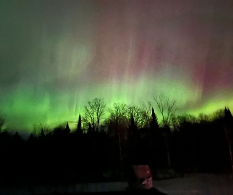 Northern Lights Photo of the Week