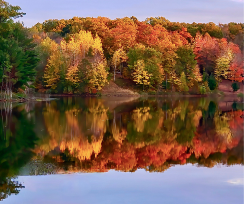 Fall Photo of the Week