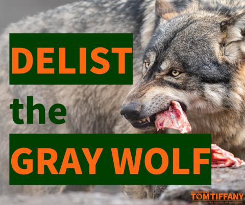 Delist the Gray Wolf