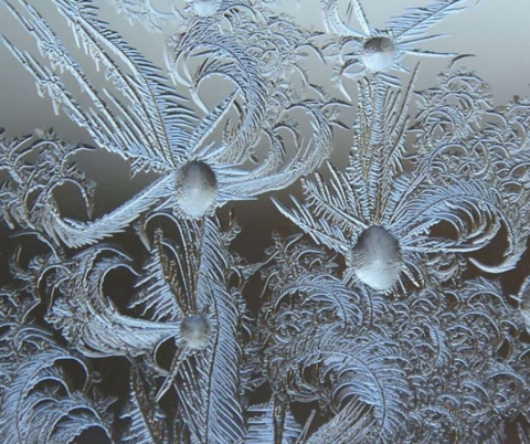 Ice Art