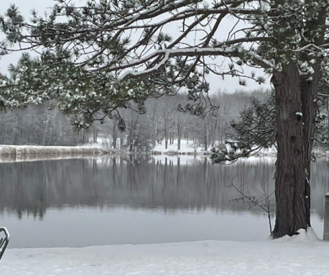 Winter on the lake