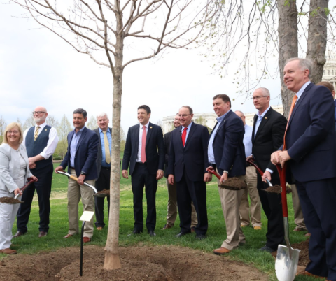 Maple Syrup Ceremony