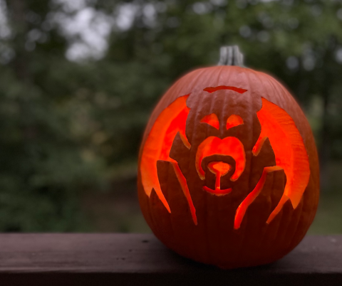 Pumpkin Design