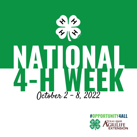 4-H