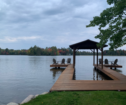 Photo of the week leaves