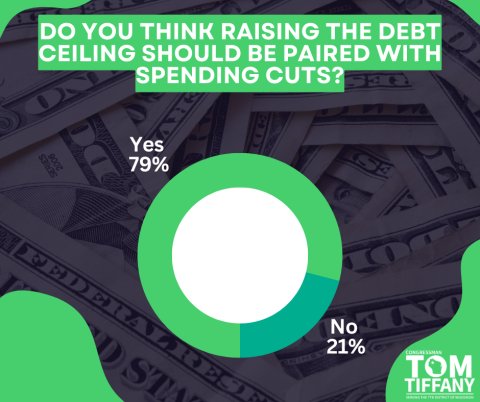 Debt Ceiling Survey