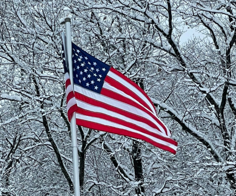 Flag photo of the week
