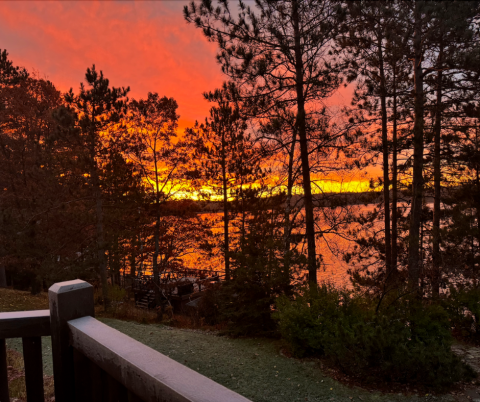 Frosty Sunday Morning