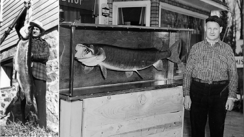 World Record Catch