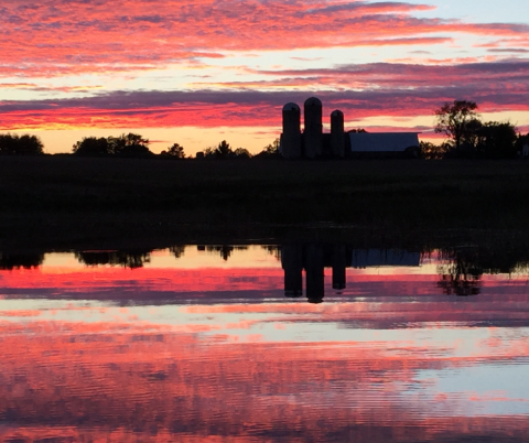 Pink Skies