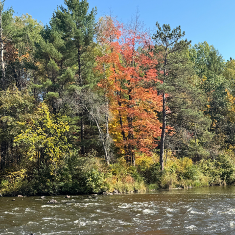 Sneak Peak of Fall