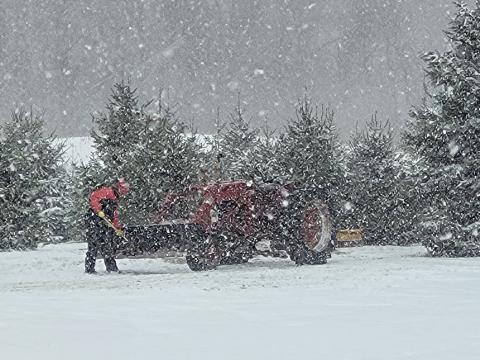 Christmas Photo of the Week 1