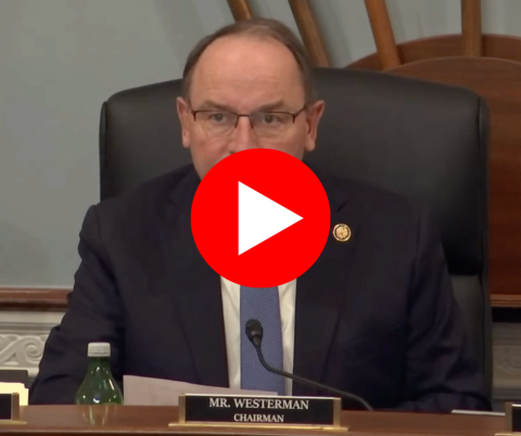 Wolf delisting