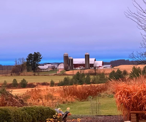 Farm Photo