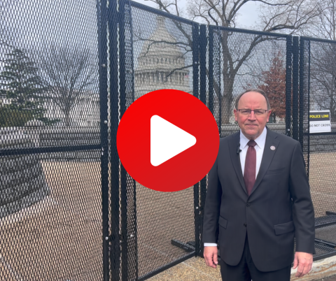 Fence Video