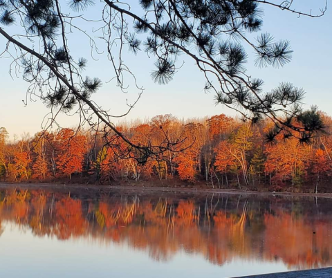 Fall Days