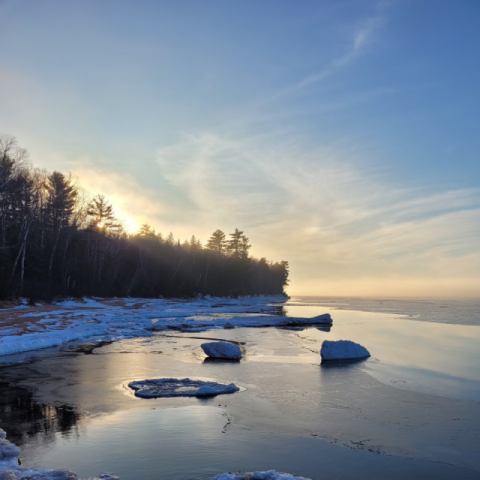 Snowy Shores