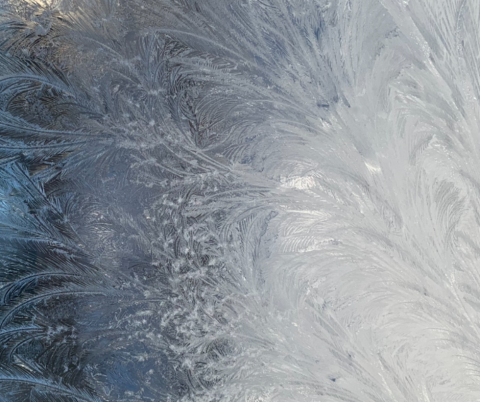 Magic Frost