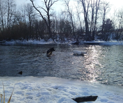 Photo of the Week - Dec 9th