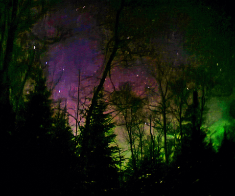 Northern Lights